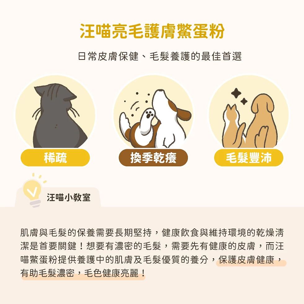 縮圖：汪喵星球 亮毛護膚鱉蛋粉 60g