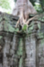 Anghor Wat