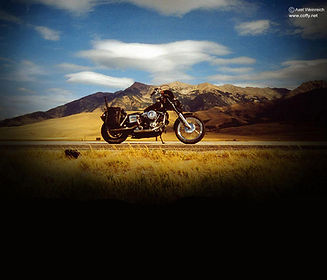 Shadowy Motorcycle Shot