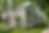 new build custom home Ann Arbor Michigan traditional colonial design
