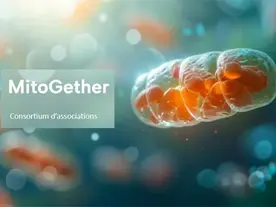 MitoGether : un site dédié aux maladies mitochondriales