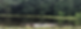 add to about us 2.png