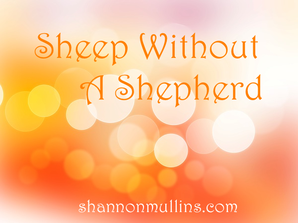 Sheep Without a Shepherd
