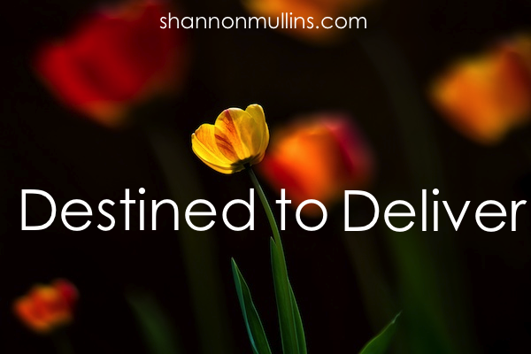 Destined to Deliver