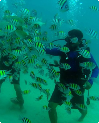 sebastian-huber-6JU5C73KQ5Q-unsplash 1 (5).png