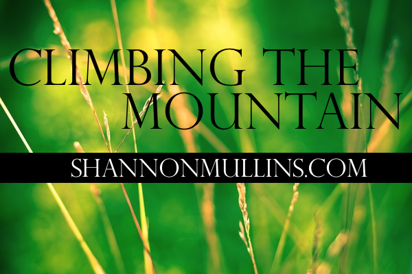 Climbing the Mountain