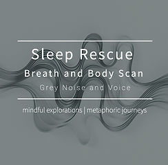 Grey Noise Body Scan for website (1).jpg