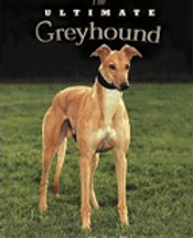 | Greyhound Pets of America Wiscousin
