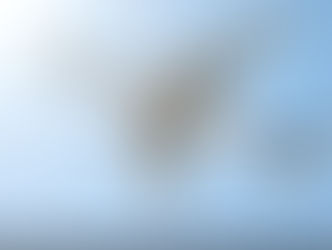 Airbus : Un nouvel appareil dans la famille des A350 ?