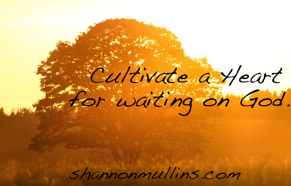 Cultivate a Heart for Waiting