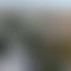 Commercial or Industrial Real Estate Owners: Why you should be benefitting from an additional 'tenant'