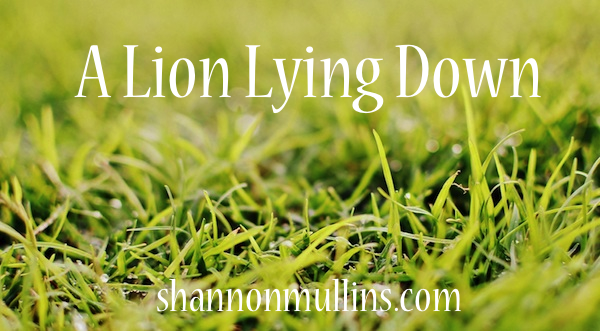 A Lion Lying Down