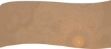 bg.png