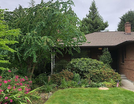 The Art and Science of Proper Pruning