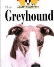 | Greyhound Pets of America Wiscousin
