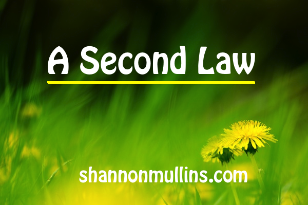 A Second Law