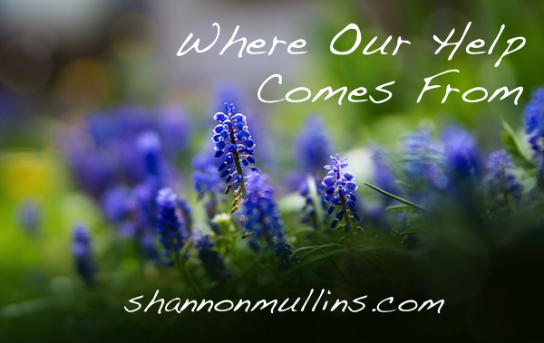 Where Our Help Comes From