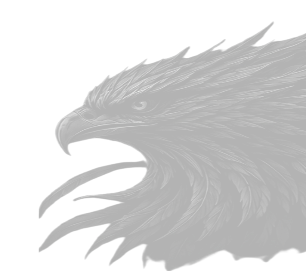 supporting picture of eagle in whats included section