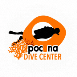 Pocna Dive Center Travel & Tours logo