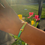 Thumbnail: Neon Rainbow Bracelet
