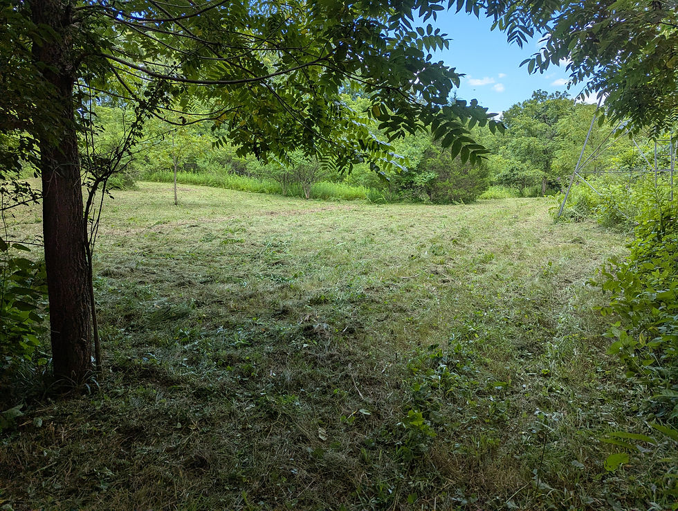 Hunting field after maintenance