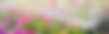 d96dfe47-76e8-4683-b7b8-2633ec1607c6.jpg