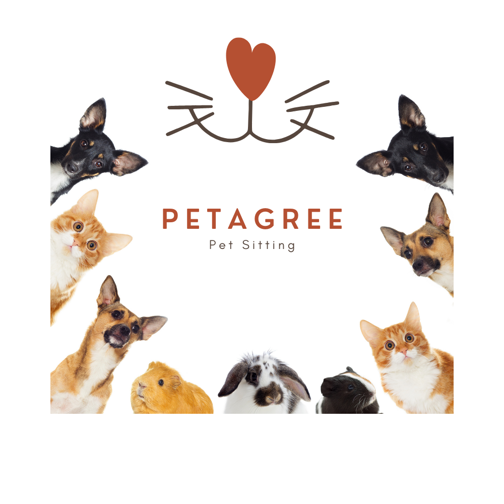We are a family run pet sitting business. Petagree Pet Sitting Los