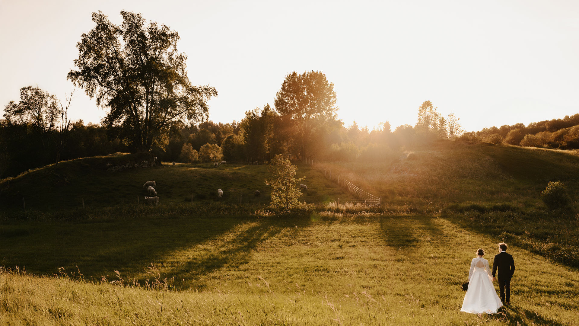 Bryllup i solnedgang på vestlandet, Bryllupsfotograf Bergen