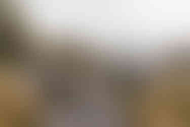 vielse på Hoel gård