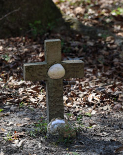 SPRINGBANK CEMETARY