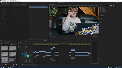 premier screenshot 2.PNG