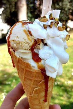 IMG-0071_edited.jpg