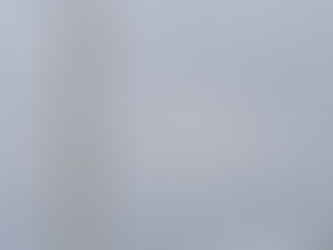 ***Más pruebas contra el BDS***