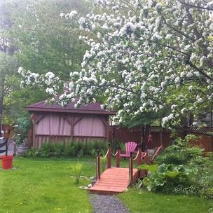 Le printemps japonnais chez AZURA