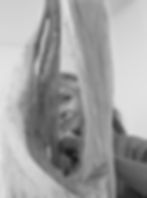 Bergith (Foto von Klaus Defner, Igls)