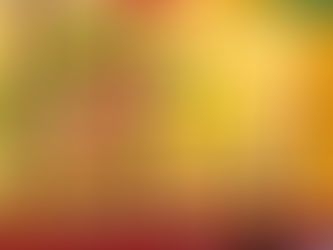 医王山宗禅寺薬師如来大祭/バルーンショー