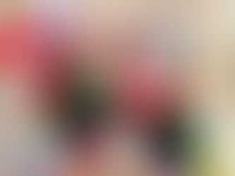 イオンタウン館山/クリスマスグリーティング(2人体制)