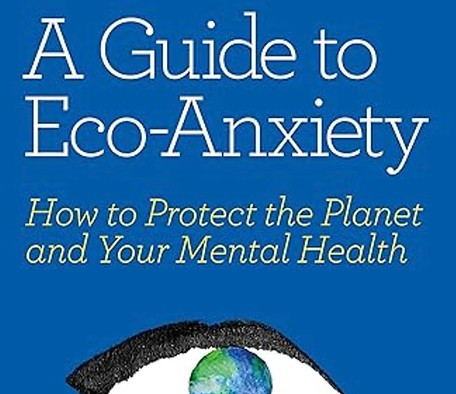 Eco- anxiety vook.jpg