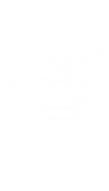 a-5.png