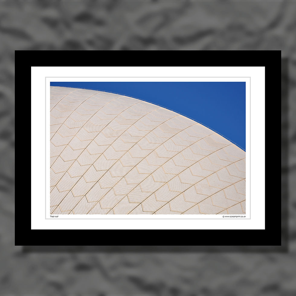 Thumbnail: A roof, but not as we know it. Colour photograph.