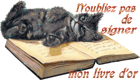 Maine Coon Jura - Bienne -Berne