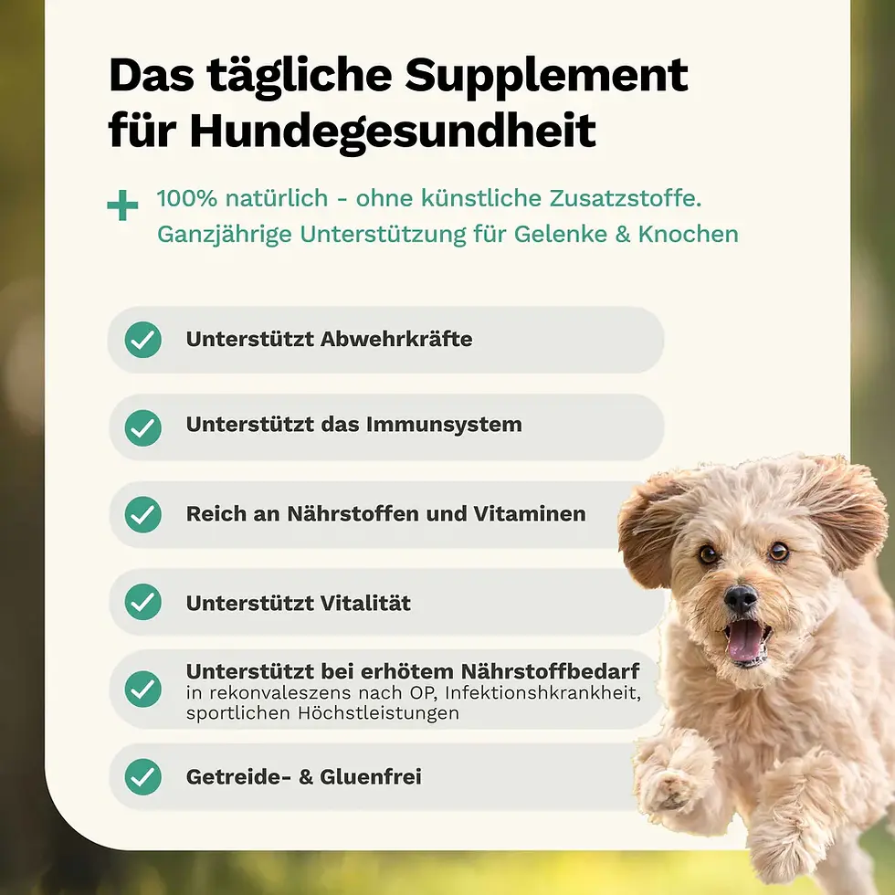 Funktionale Snacks von Snoggos für ein starkes Immunsystem, Ergänzungsfuttermittel für Hunde, bei MA's & MO's GmbH, Ulmiz