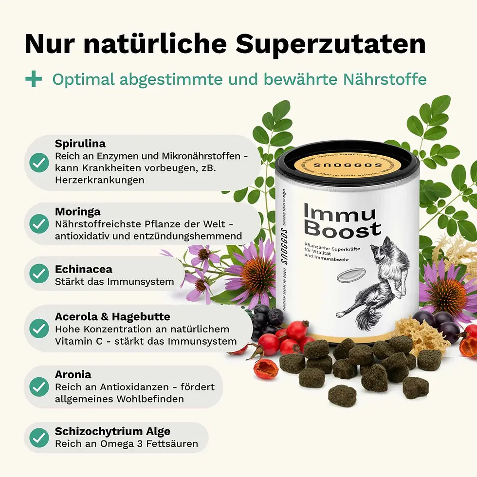 Miniaturbild: Funktionale Snacks von Snoggos für ein starkes Immunsystem, Ergänzungsfuttermittel für Hunde, bei MA's & MO's GmbH, Ulmiz