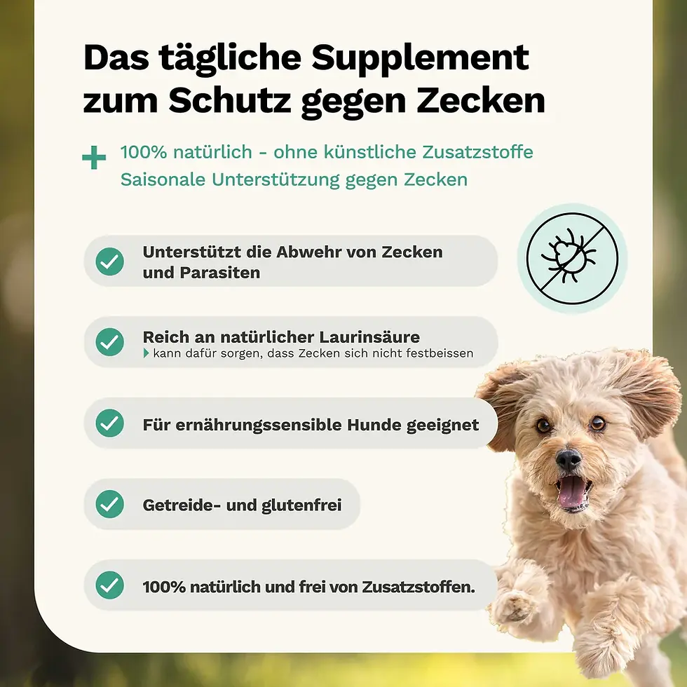 Miniaturbild: Kräutermischung gegen Zecken von Snoggos, Ergänzungsfuttermittel für Hunde, bei MA's & MO's GmbH, Ulmiz