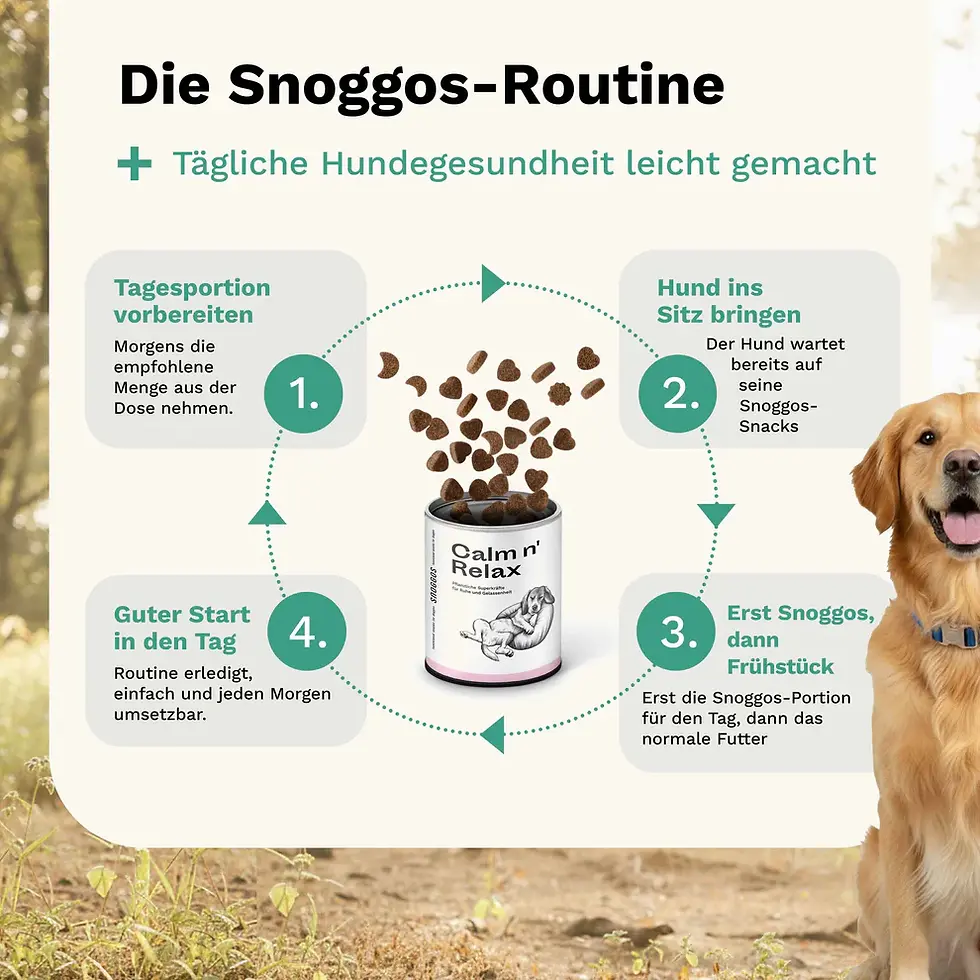Miniaturbild: Funktionale Snacks von Snoggos für Ruhe und Entspannung, Ergänzungsfuttermittel für Hunde, bei MA's & MO's GmbH, Ulmiz