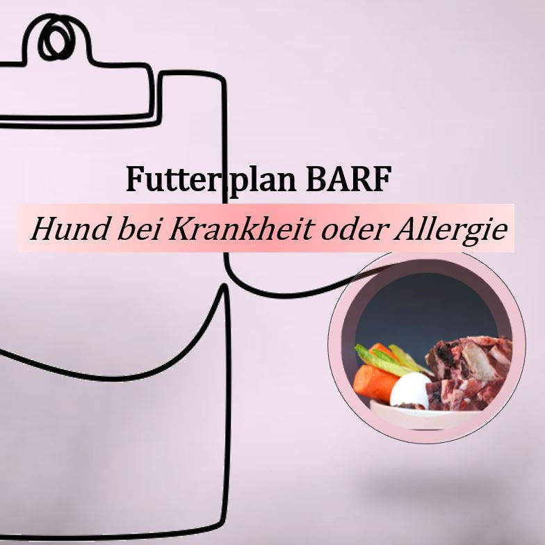 Futterplan BARF Hund bei Krankheit oder Allergie	(exkl. Besprechung)