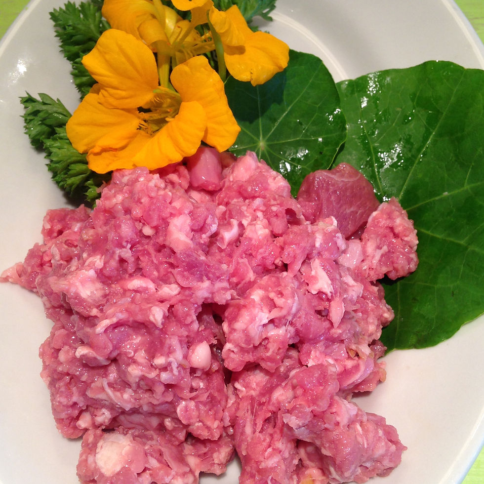 Tiefgefrorenes Pouletfleisch pur von Barf and More, 2 x 250 g, bei MA's & MO's GmbH, Ulmiz