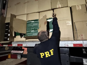 PRF seizes 15,000 pairs of counterfeit shoes bound for São Miguel do Oeste