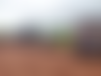 Contrabando avaliado em R$ 209 mil é apreendido pelo DOF na MS-164