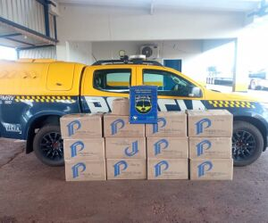 Polícia apreende perfumes contrabandeados na rodovia MS-276